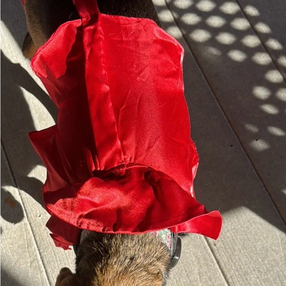 Small/medium DWF brand Devil Dog Costumes Halloween